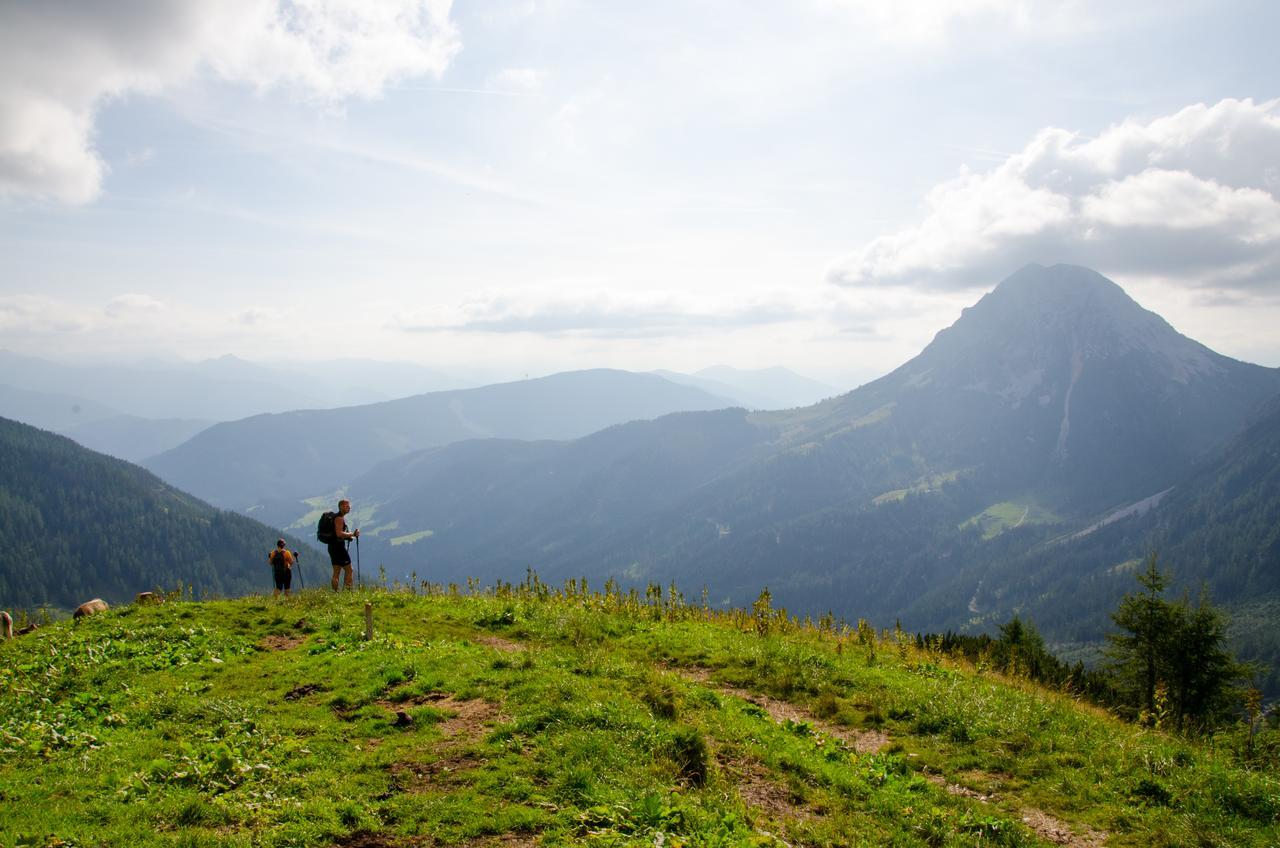 Sissi Park Haus Im Ennstal - Schladming Daire Dış mekan fotoğraf