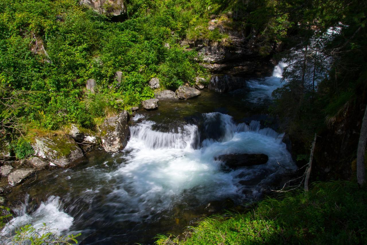 Sissi Park Haus Im Ennstal - Schladming Daire Dış mekan fotoğraf